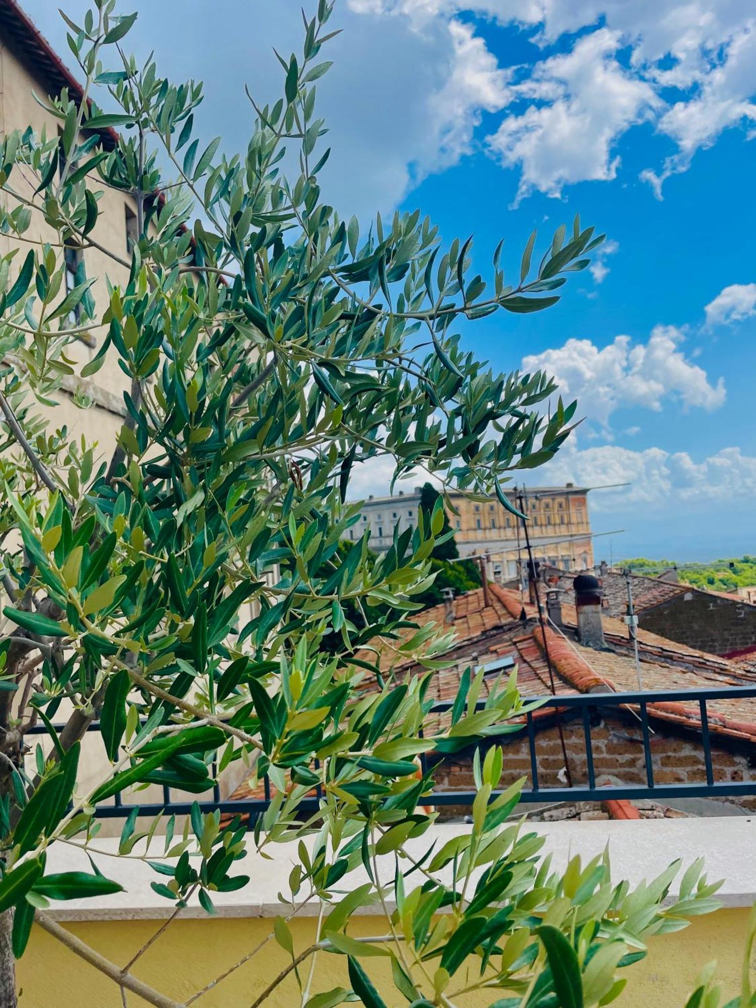Casa Checca Appartamenti Per Vacanze Caprarola Exterior foto